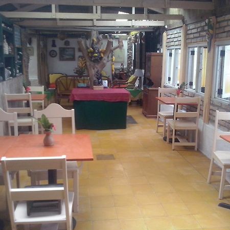 Caribbean Coral Inn Tela Extérieur photo