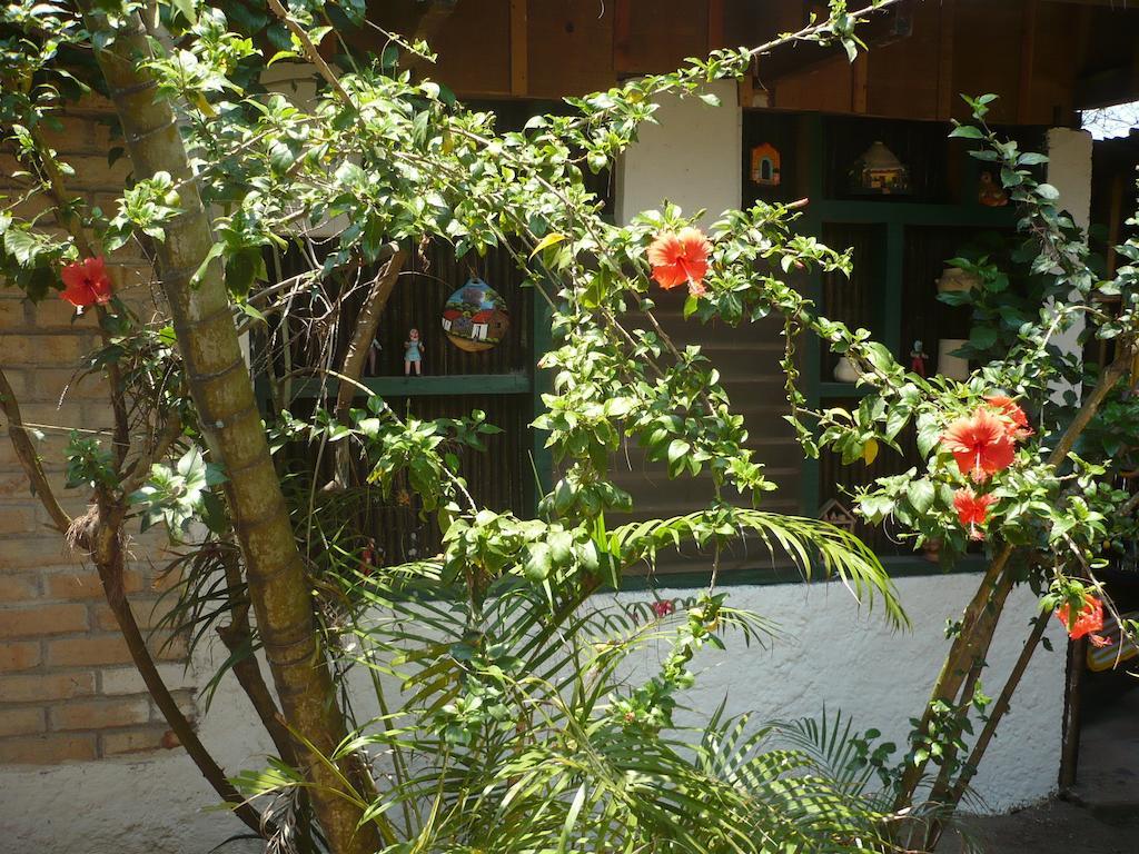 Caribbean Coral Inn Tela Extérieur photo